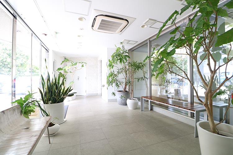 1階入り口スペース