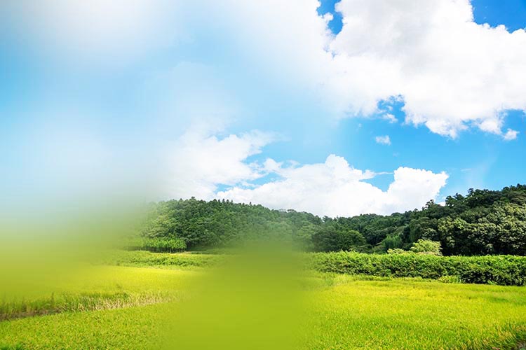 緑内障のイメージ写真