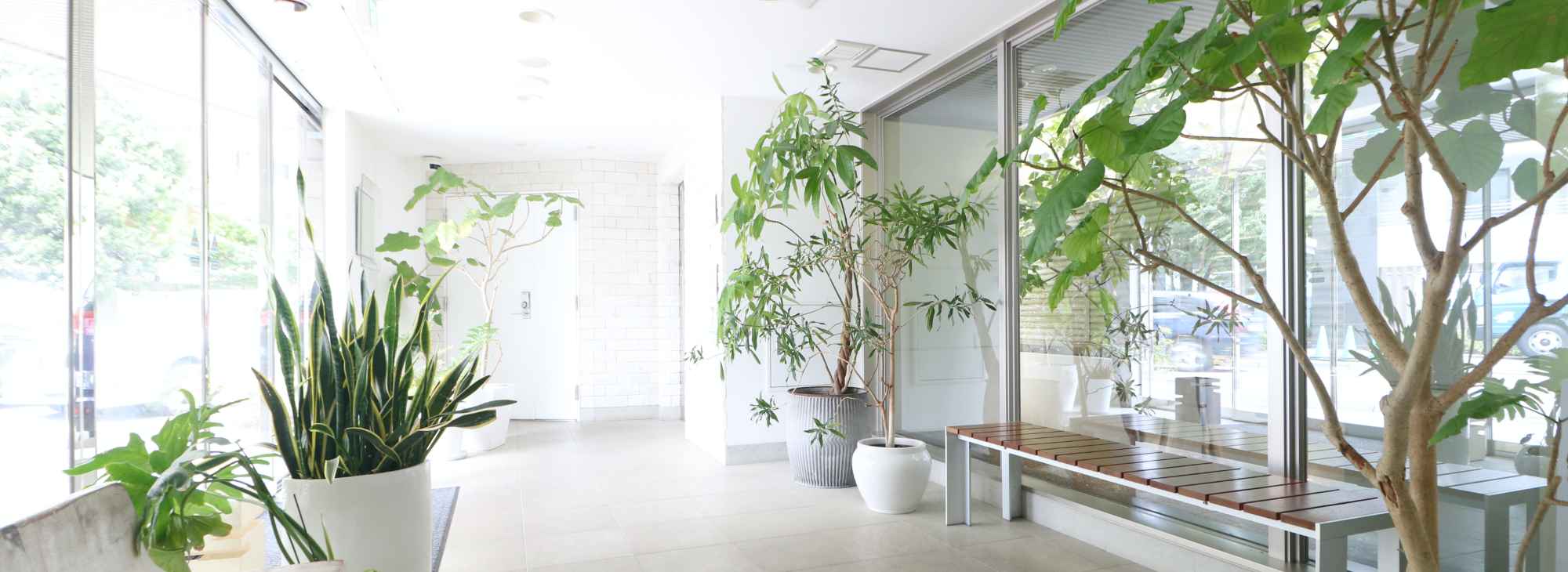 キービジュアルイメージ